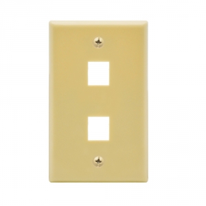 Dual OUTLET FLUSH Wall Plate- Ivory