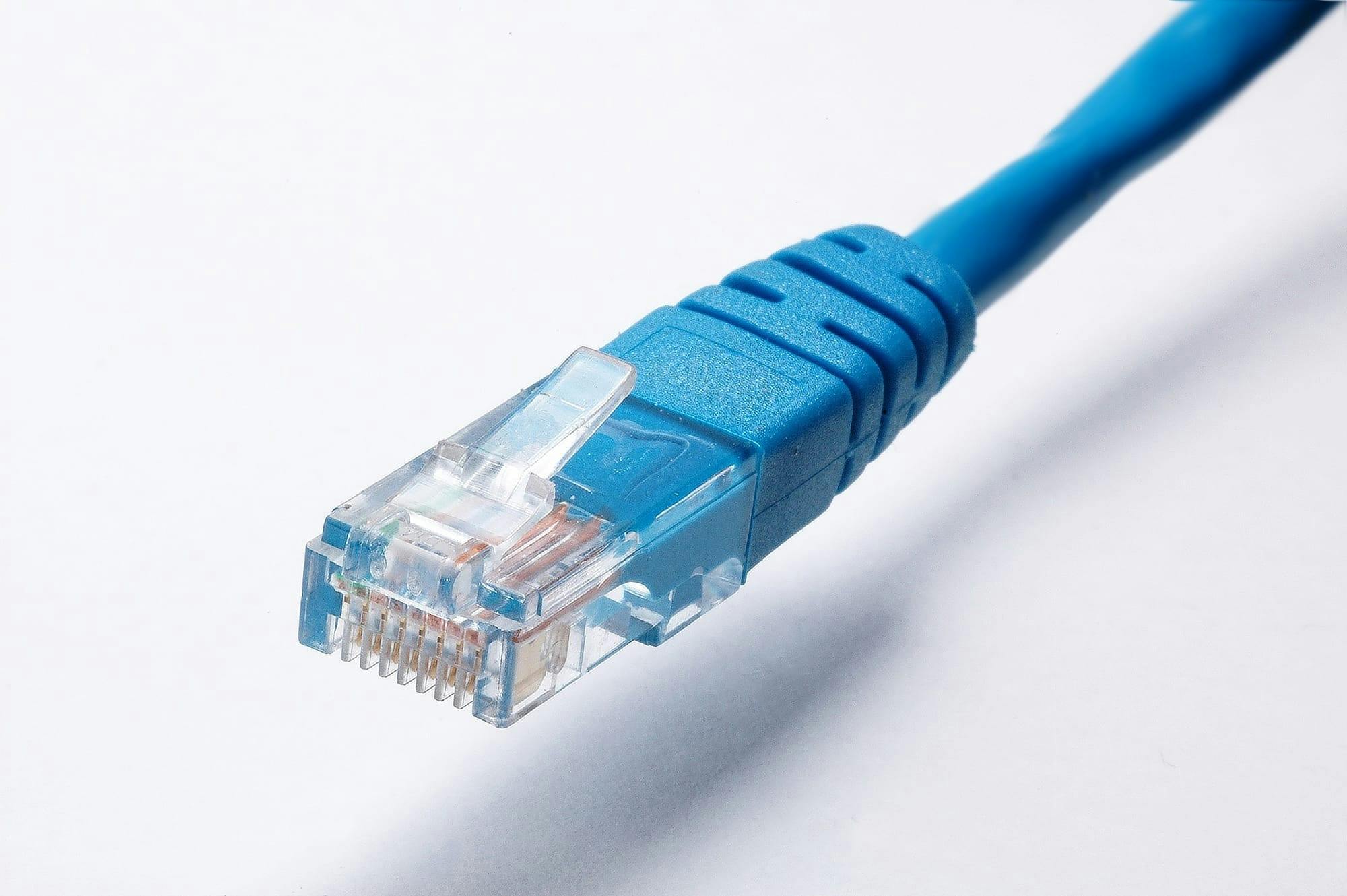 blue-ethernet-cables.jpg